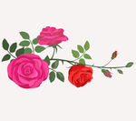 玫瑰花矢量