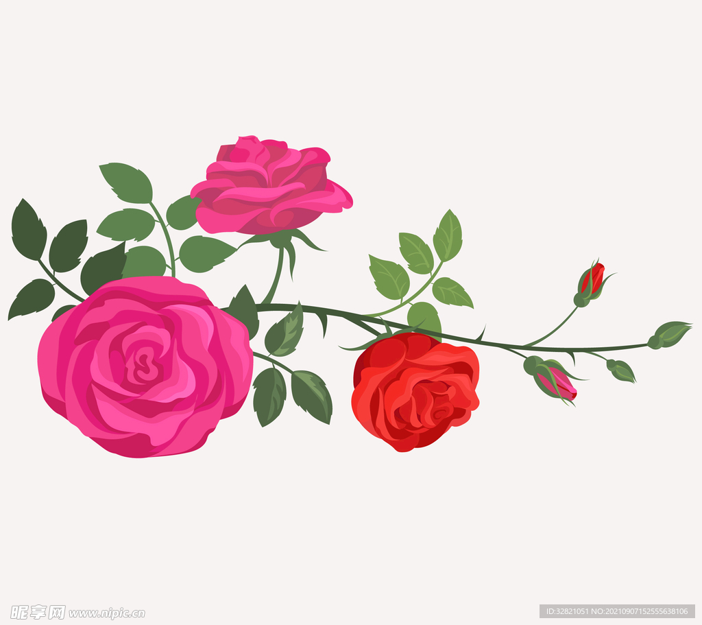 玫瑰花矢量