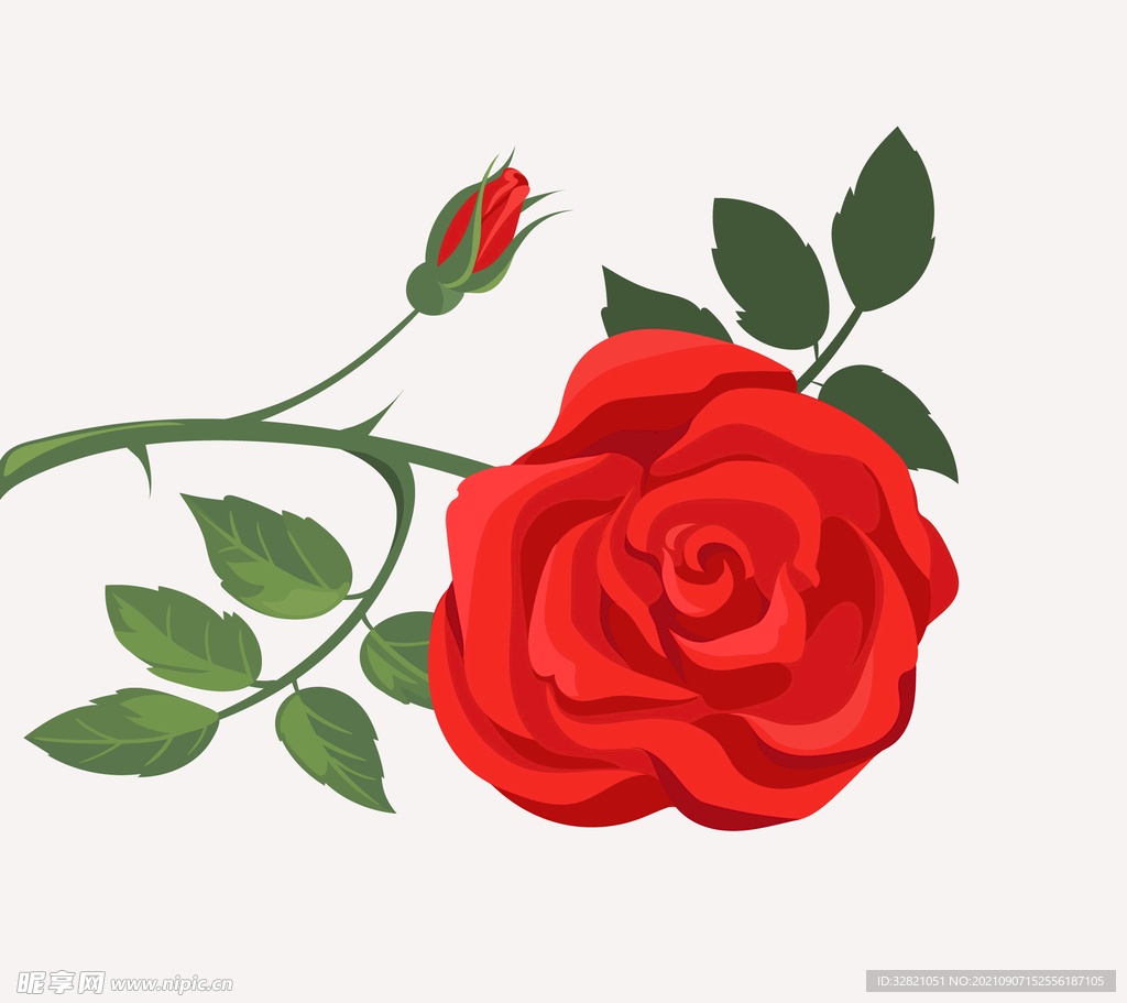 玫瑰花