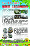 践初心聚民心促振兴