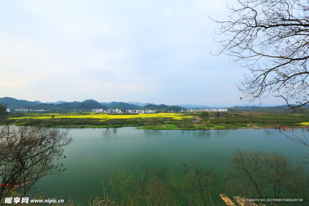 乡村风景