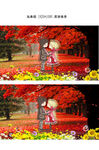 唯美红枫叶树林情侣高清视频 