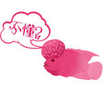 淘宝宝贝主图轮播banner