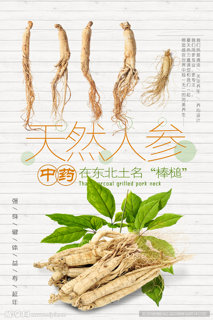 天然人参