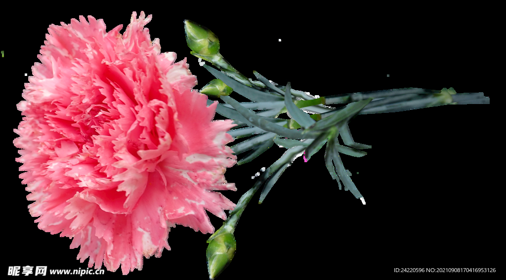 鲜花