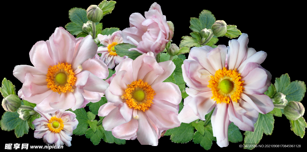 鲜花