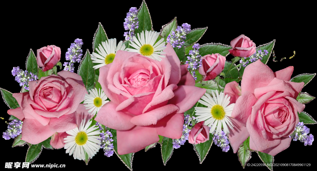 玫瑰花
