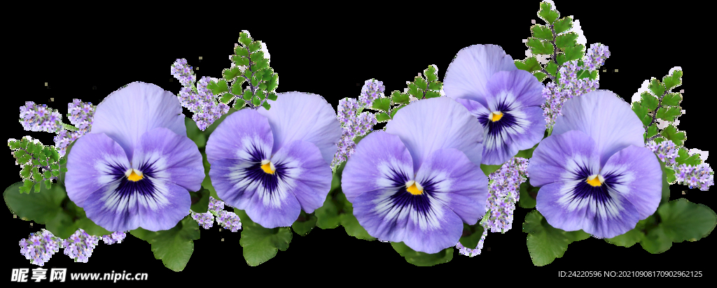 鲜花