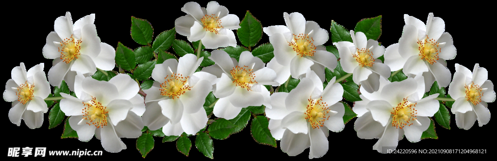 鲜花