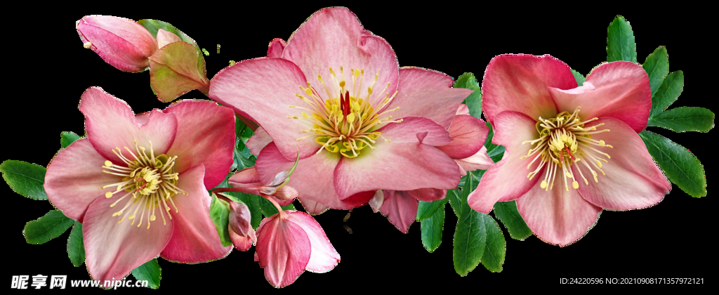 鲜花
