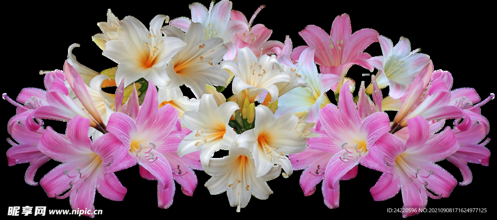 鲜花