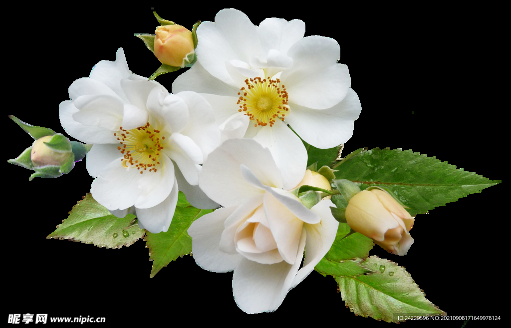 鲜花