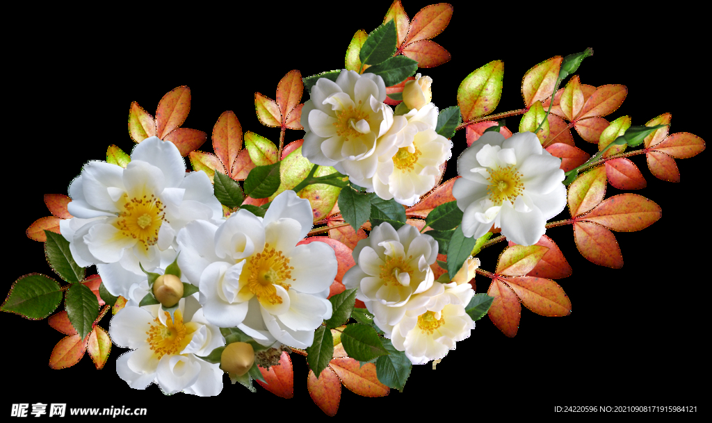鲜花