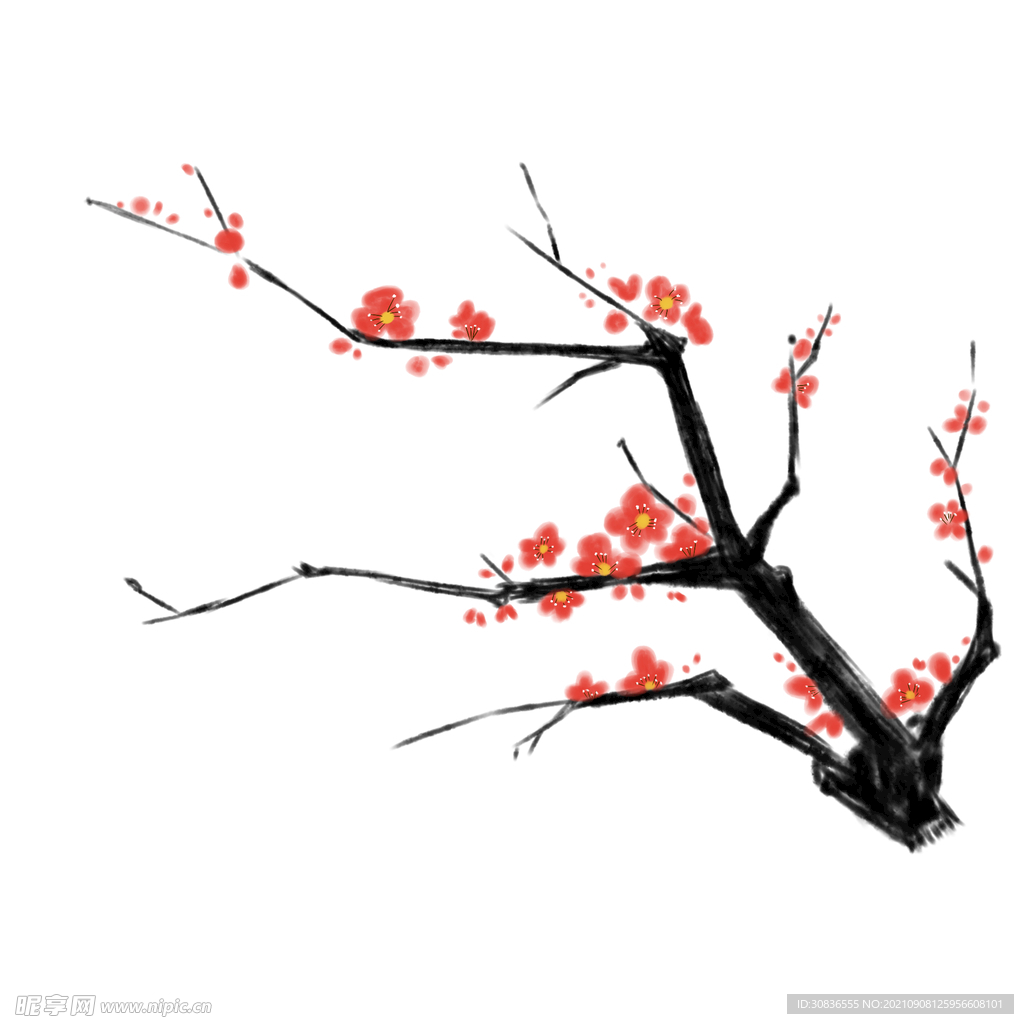 梅花素材 