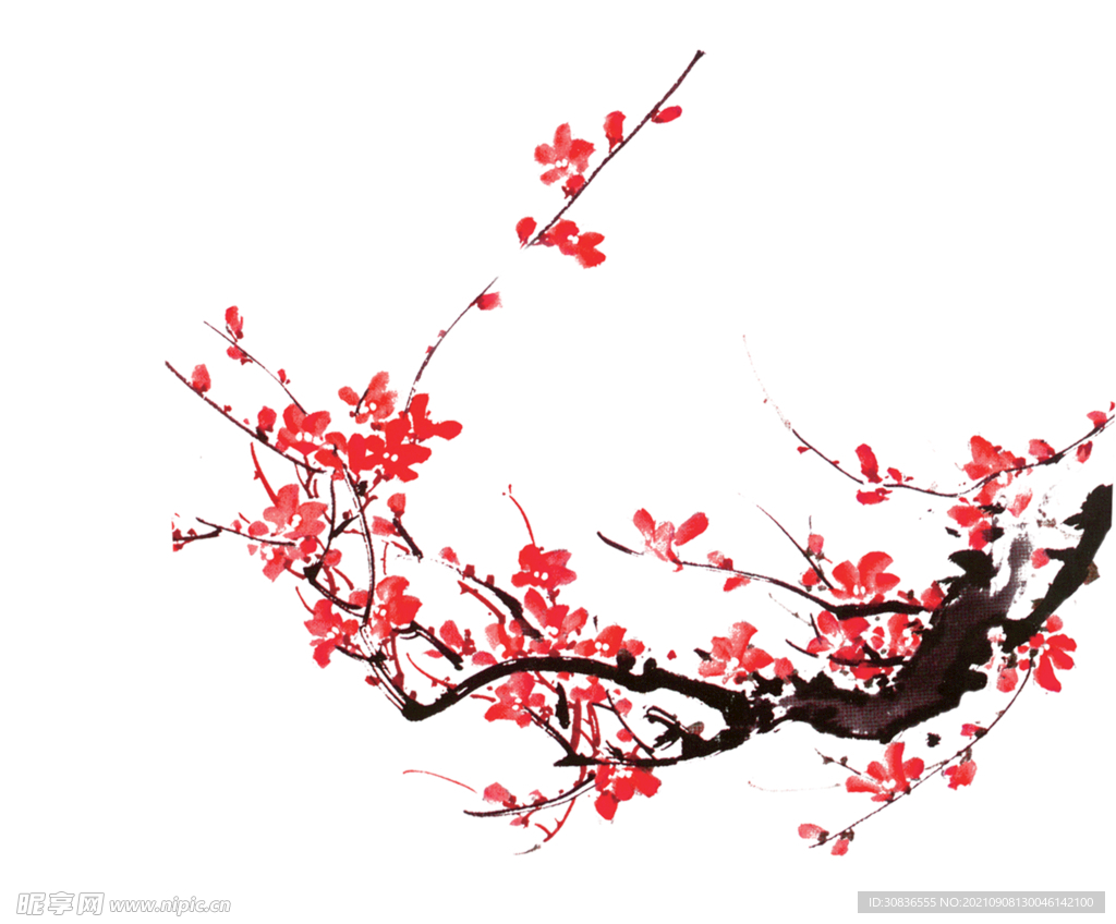 梅花素材 