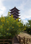 永州白石山公园