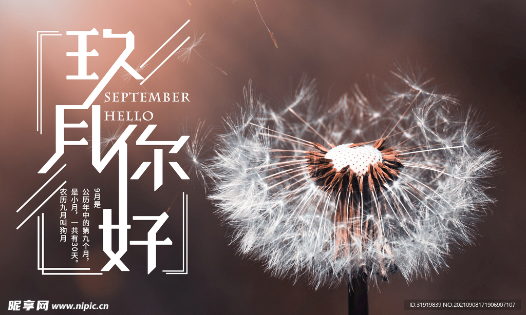 九月  你好