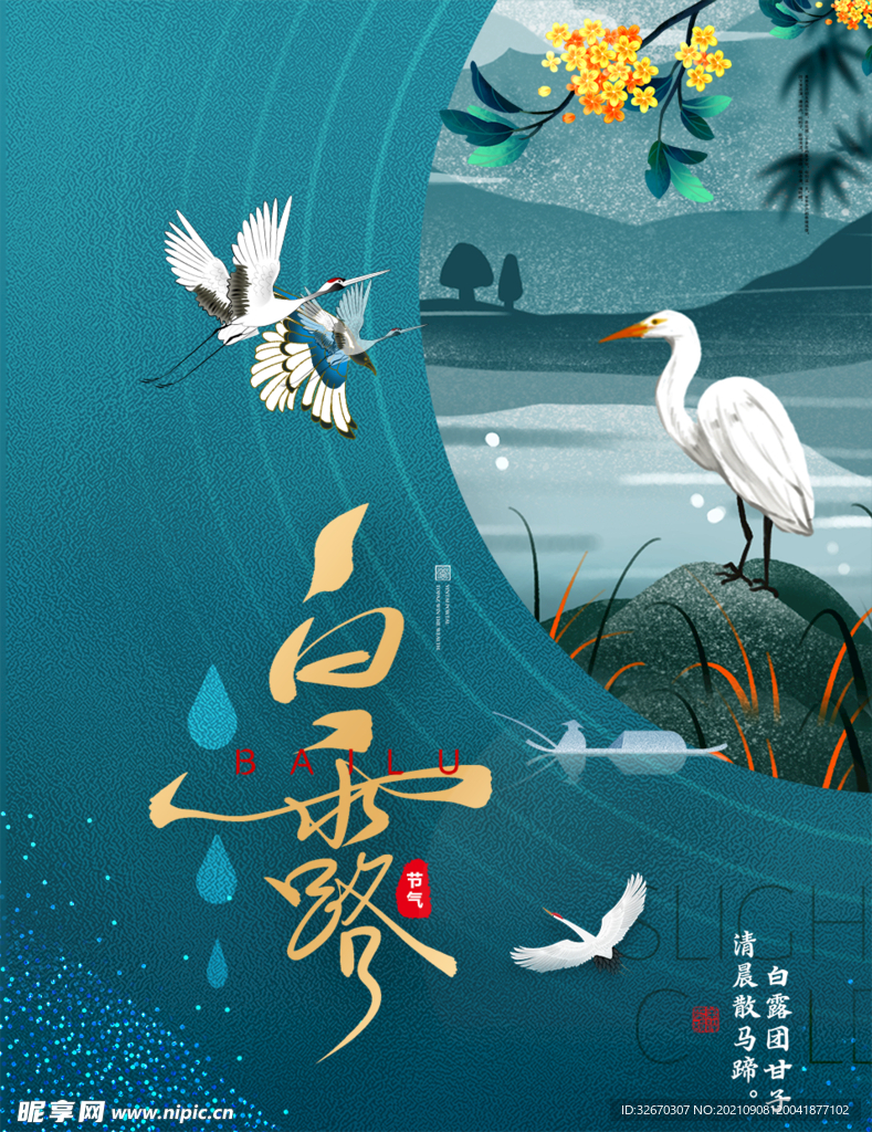 中国风插画白露节气海报