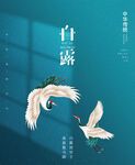 中国风二十四节气白露户外海报