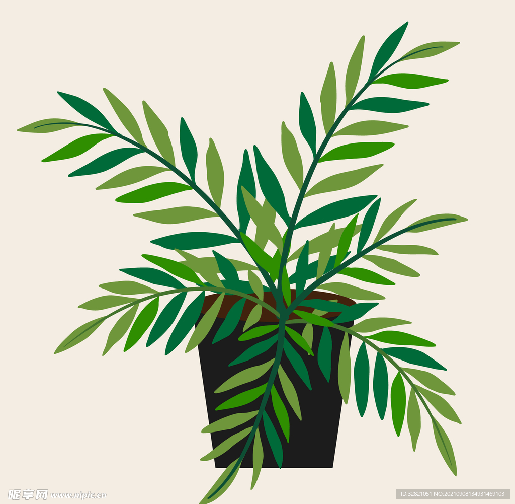 植物盆栽手绘