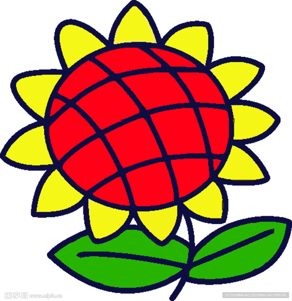 太阳花