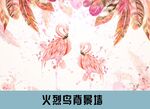 羽毛火烈鸟