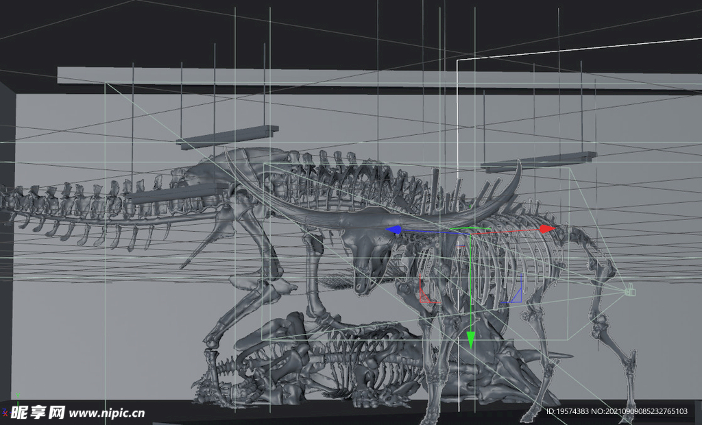 C4D模型恐龙化石博物馆
