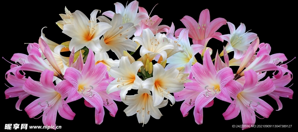 鲜花