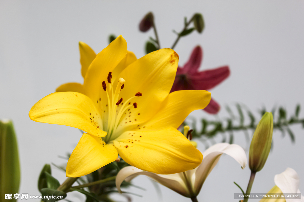 鲜花