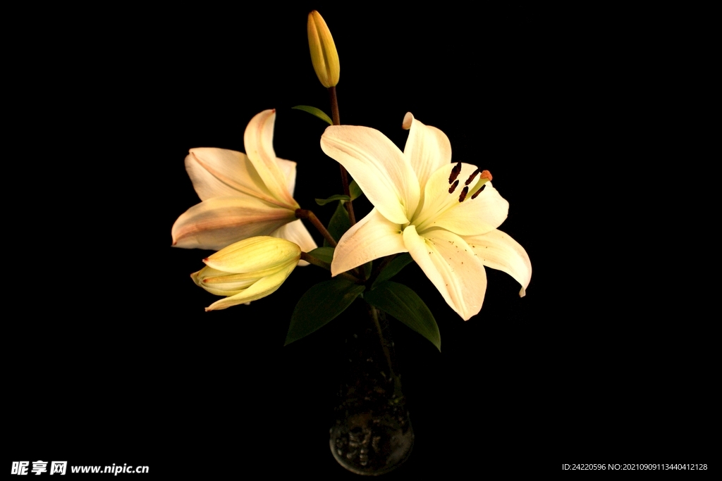 鲜花