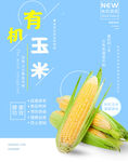 玉米