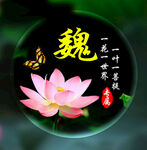 一花一世界 一叶一菩提