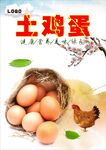 鸡蛋海报