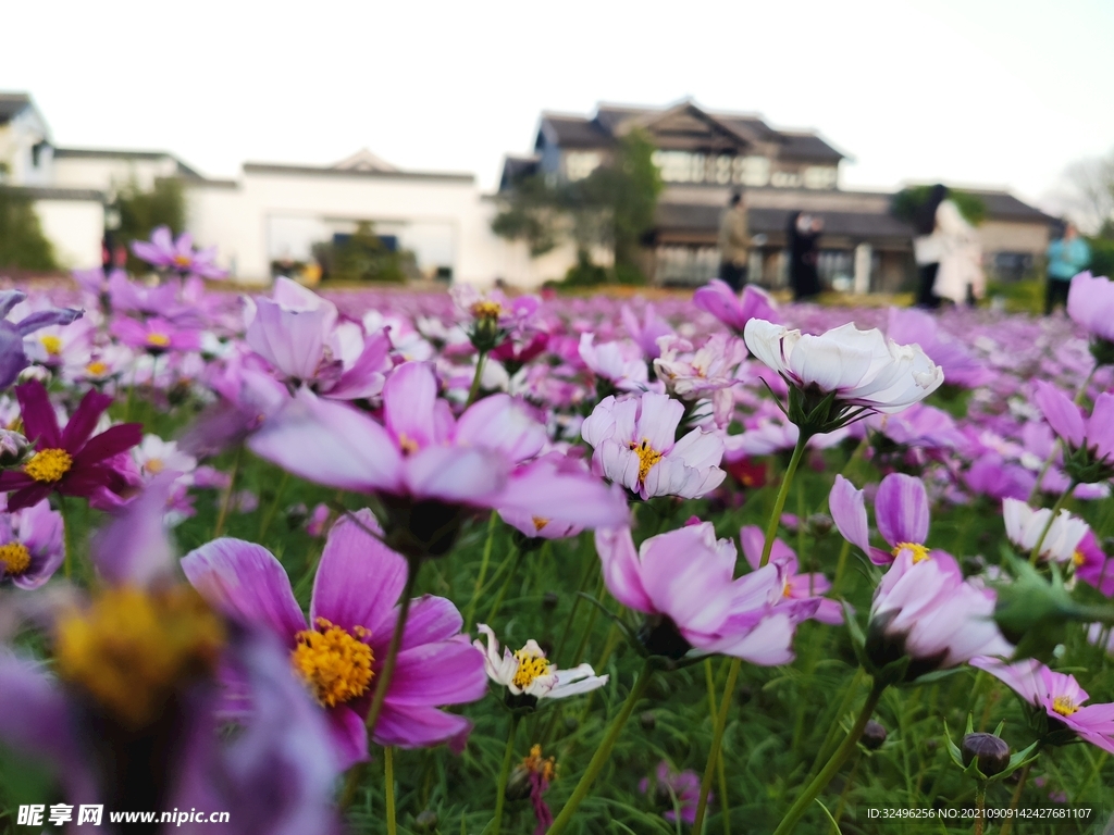 江南花园