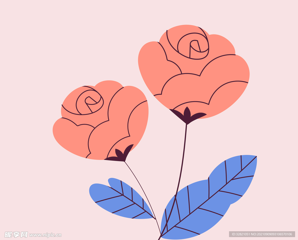 玫瑰花