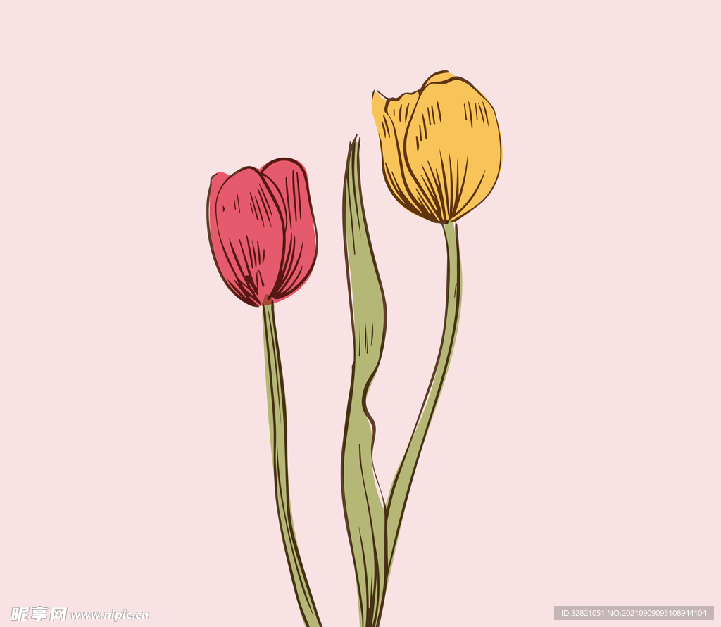 花卉