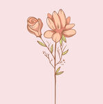 花卉