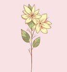 花