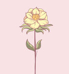 花卉