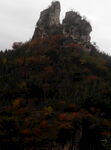 山情