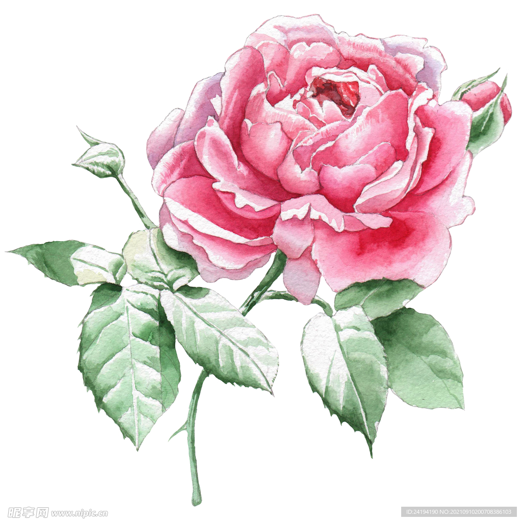 素材花