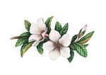 素材花