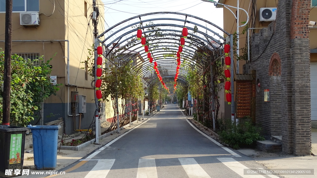 农村挂灯笼