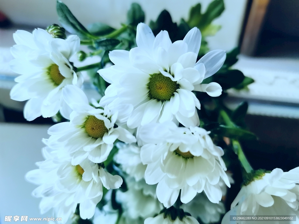 白花