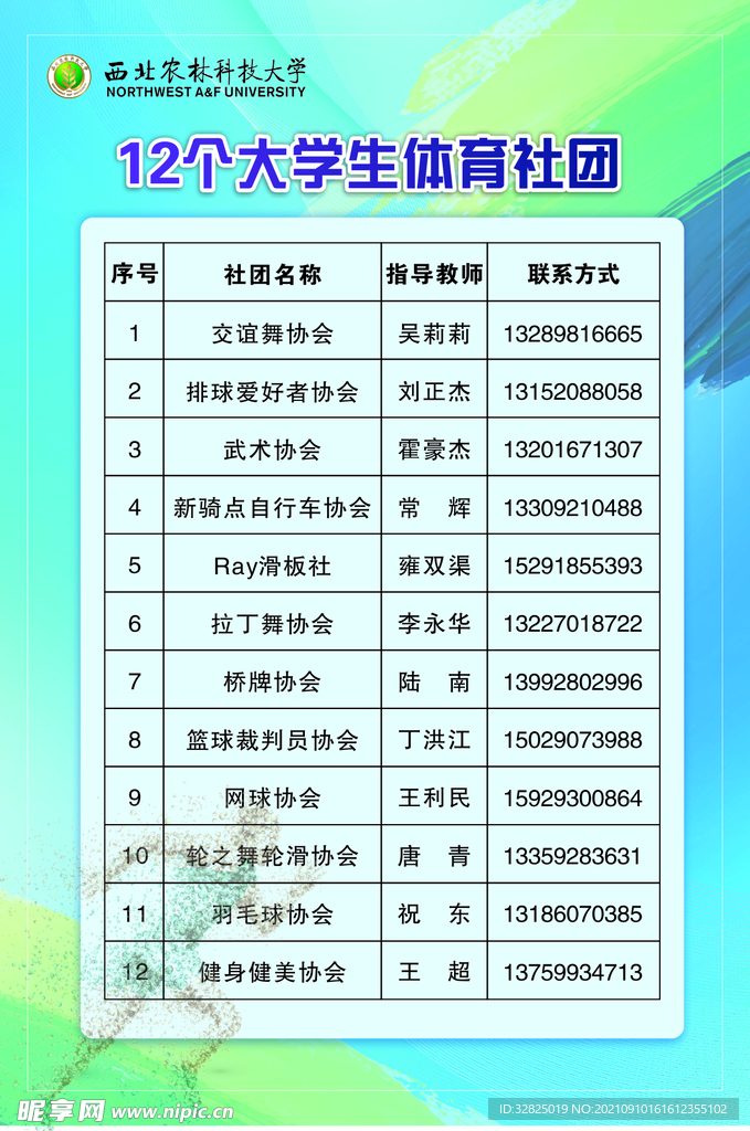 大学生体育社团
