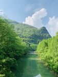 青山了绿水