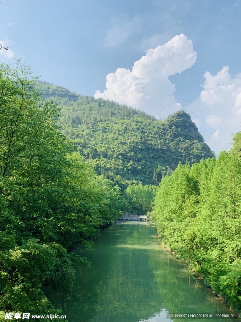 青山了绿水