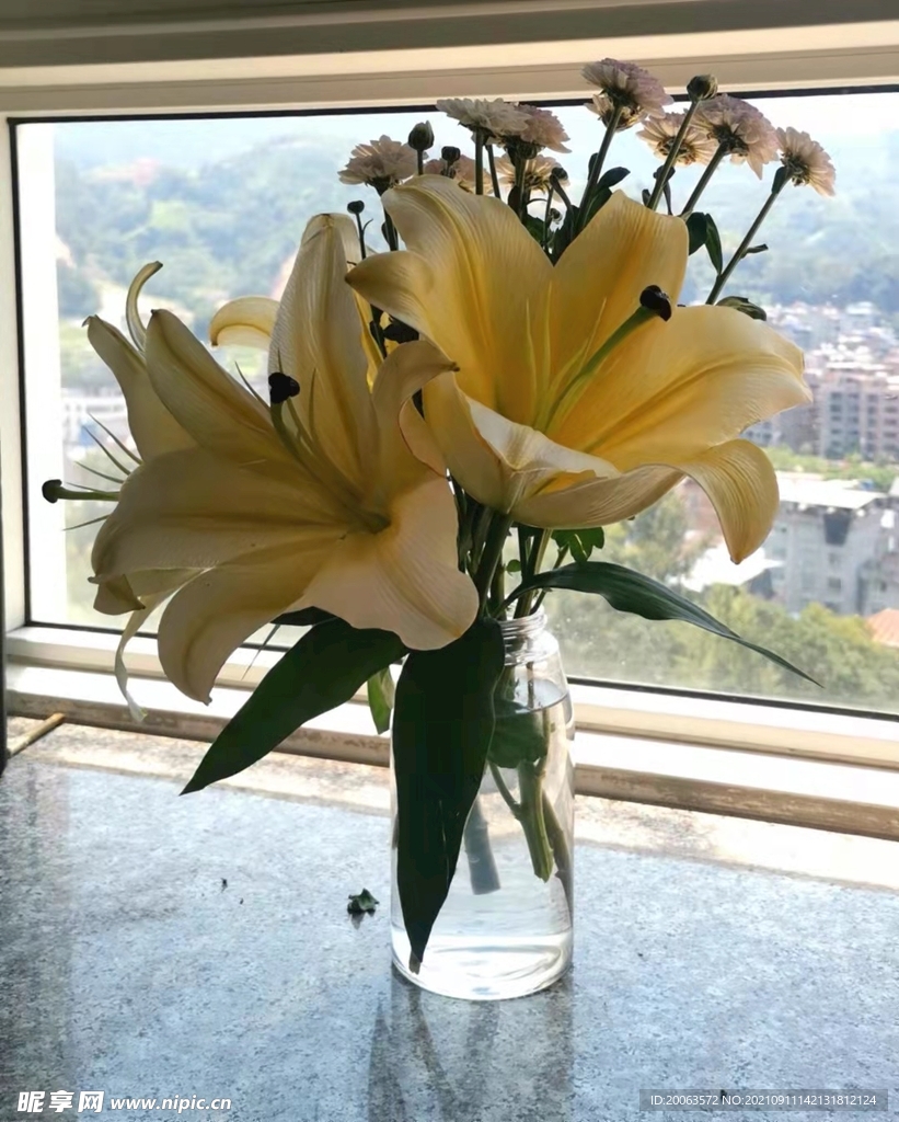 窗台上的百合花