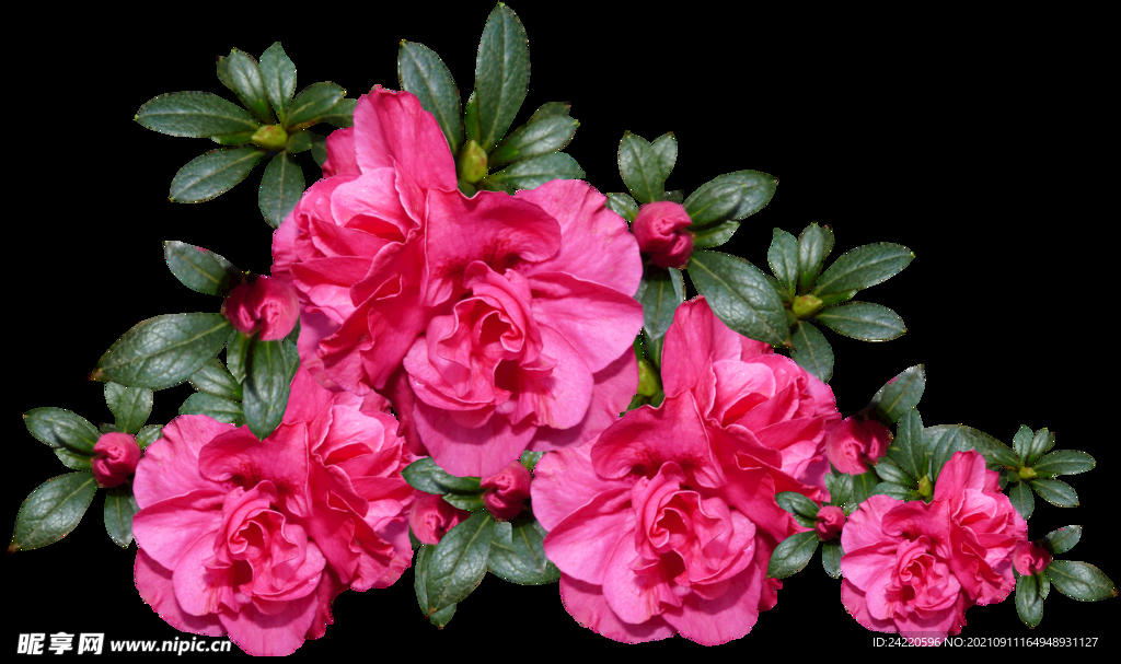 鲜花