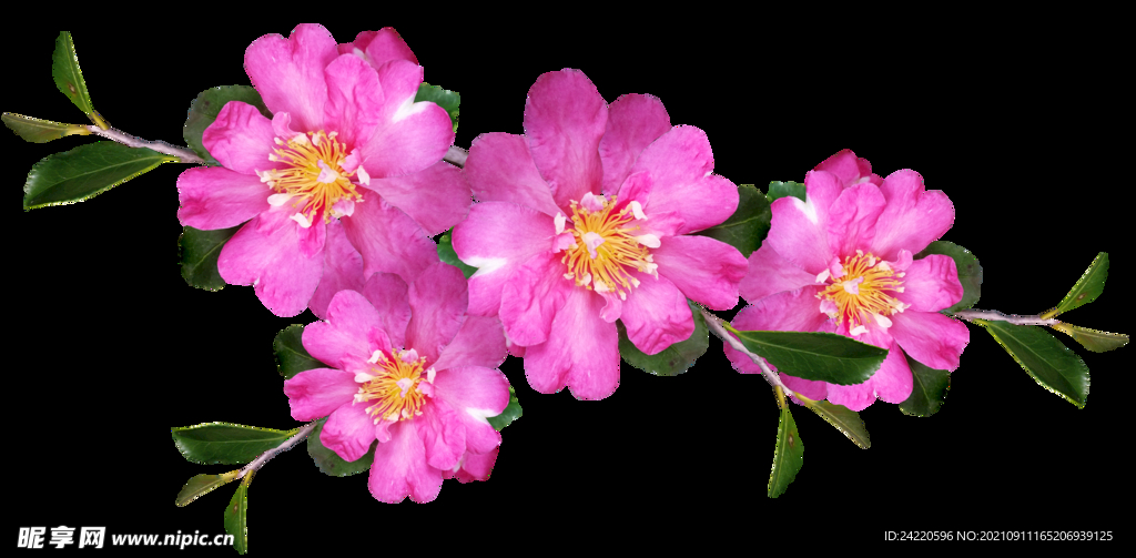 鲜花